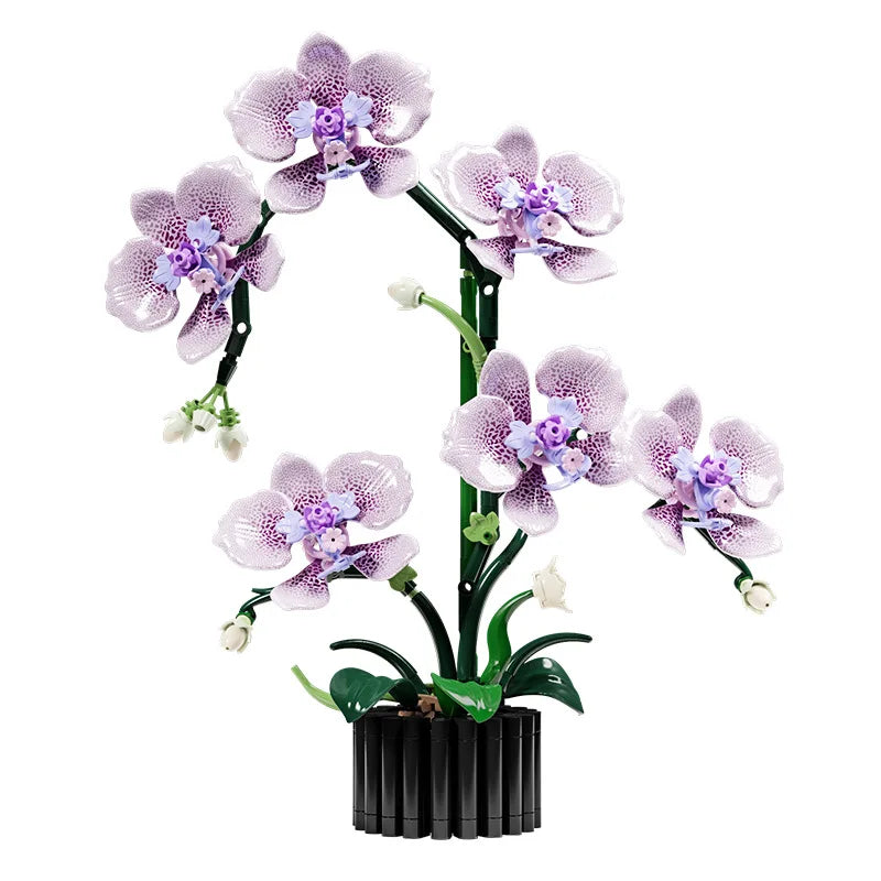 Phalaenopsis Orchid Building Blocks – 619 Pieces, LEGO-Compatible Potted Flower Model, Home Decor, Girls Birthday Gift, Ages 14+