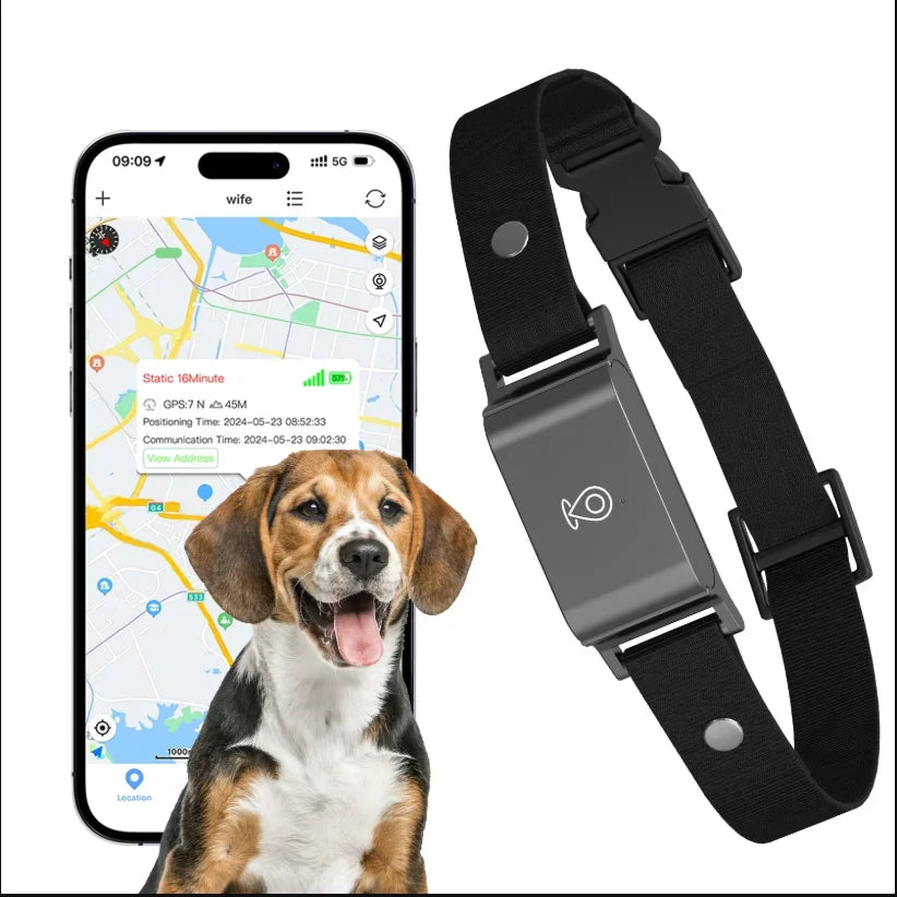 4G GPS Pet Tracker Collar, IP67 Waterproof, Real-Time Tracking, 7-Day Battery, Geofence Alerts, Dogs & Cats, iOS & Android App
